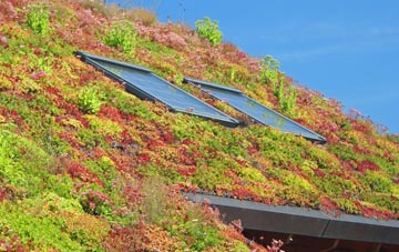 Winklebury living roof systems